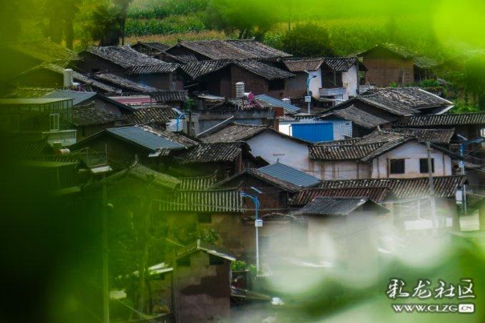 黄体功能不全导致的不孕,如何调理才能好孕?