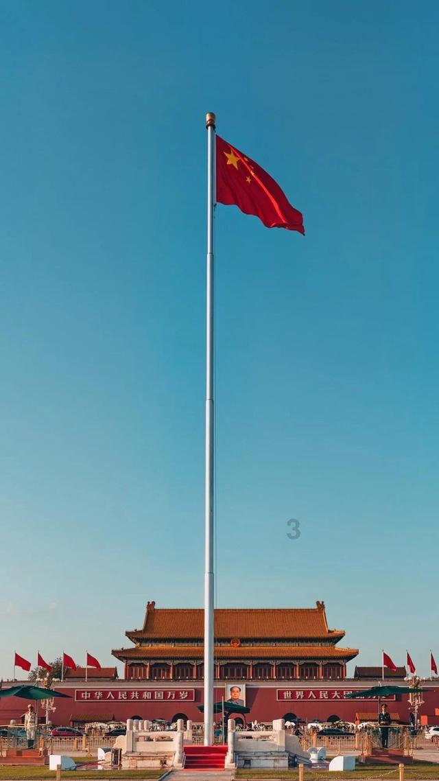 丛林之决战